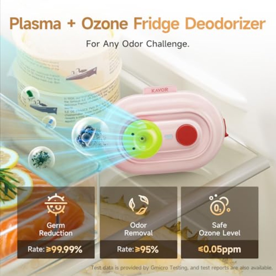 Plasma Fridge Deodorizer Ozone - Odor Eliminator Car 리뷰 및 가격