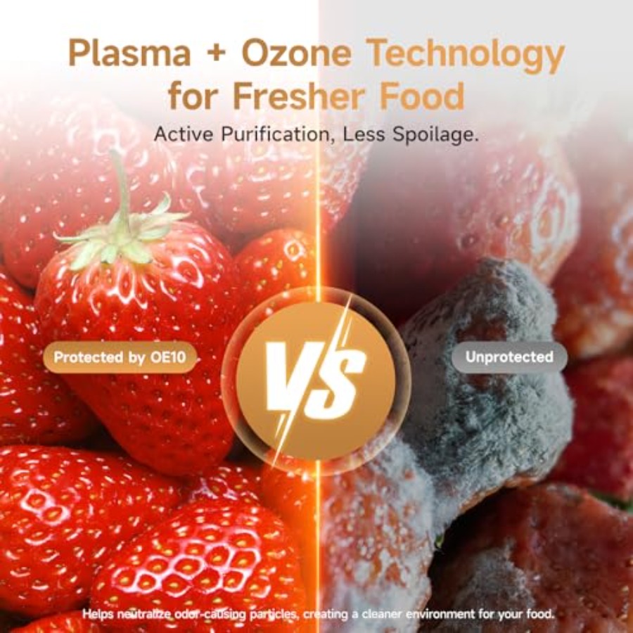 Plasma Fridge Deodorizer Ozone - Odor Eliminator Car 리뷰 및 가격